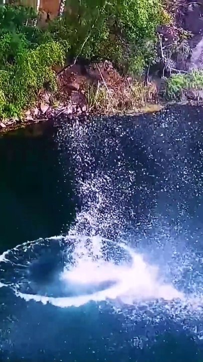 Funny clips #funny #viralshorts #entertainment
