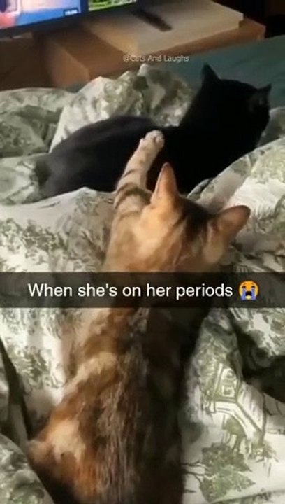 Just for funn