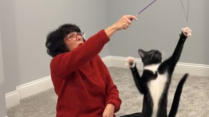 Mom Recruits Her Kids' Help To Tame Her Wild Rescue Kitten