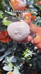 Expectations vs Reality #travel #nature #explore #instagram_2