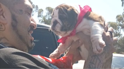 'My Wedding Present to him!' - Woman surprises husband-to-be with his dream dog!