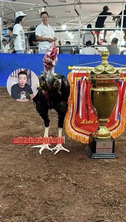 Ô mỹ đức