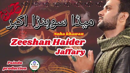 اکھیاں نہ بند کر میڈا سوہنڑا اکبر، ذیشان حیدر جعفری ،ڈیرہ غازی خان ،سرائیکی نوحہ جناب علی اکبر علیہ السّلام