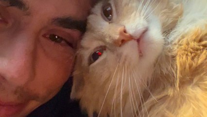 Guy Bought A Barn And Finds Out It Comes With A Stray Cat