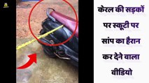 केरल की सड़कों पर स्कूटी पर सांप का हैरान कर देने वाला वीडियो | Snake On Scooter Viral Video