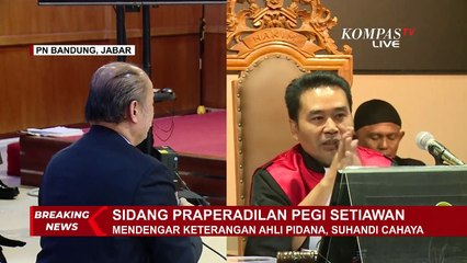 Praperadilan Pegi: Ahli Pidana Suhandi Cahaya Soal Prosedur Penangkapan hingga Bukti yang Menjerat