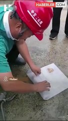 20 yıl boyunca çekiç olarak kullandığı alet Vietnam Savaşı'ndan kalma bir el bombası çıktı