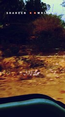 UrduGazil| poetry | quote |