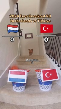 Kahin köpek Furry'den yeni tahmin! Türkiye-Avusturya maçını doğru tahmin etmişti!