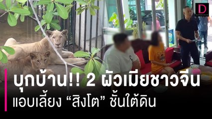 บุกบ้าน 2 ผัวเมียชาวจีนแอบเลี้ยง "สิงโต" ยึดอายัดพร้อมรถหรู 2 คัน | HOTSHOT เดลินิวส์ 05/07/67
