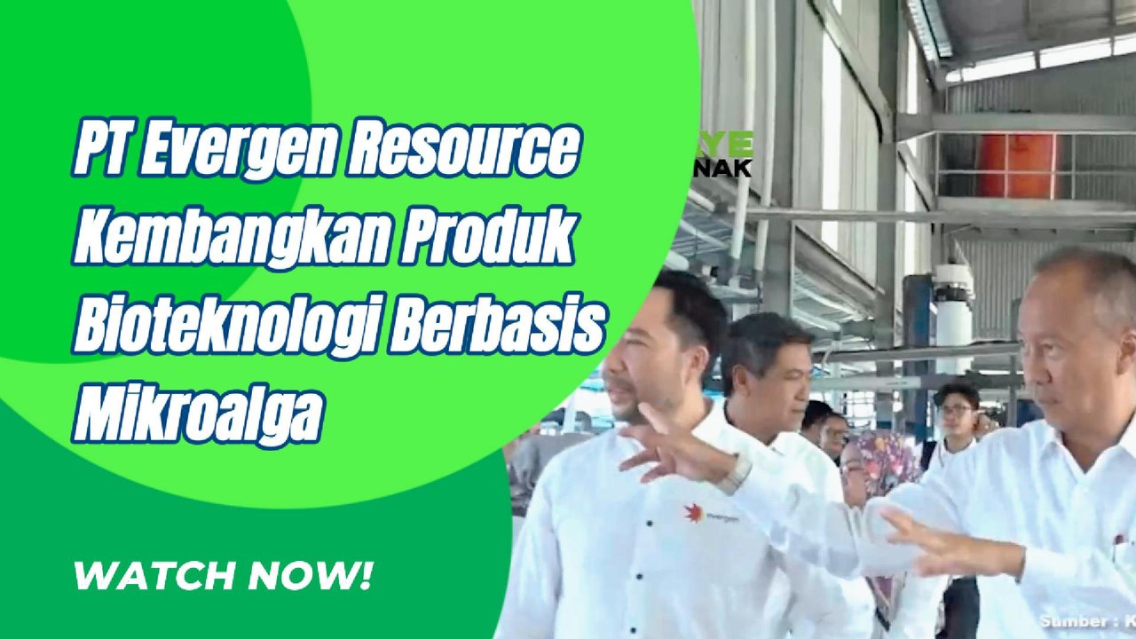 Ini Yang Dilakukan PT Evergen Resource Memanfaatkan Mikroalga
