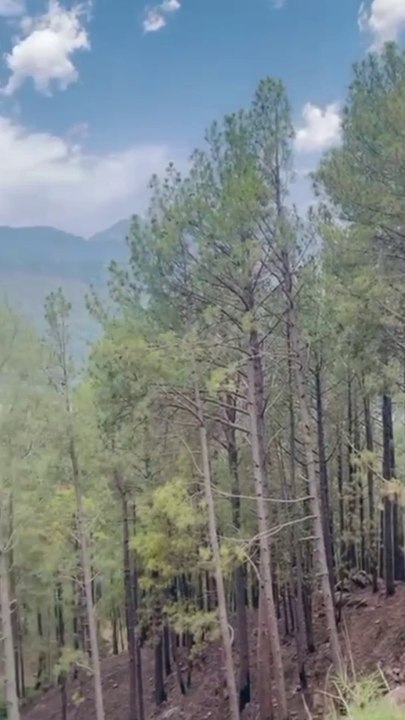 I love Mountains❤
