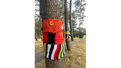 Warm Trees are back at the arboretum - with a focus on Chile