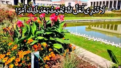 amazing recitation of surah at-talaq with urdu _ surah talaq by 786 cuisine