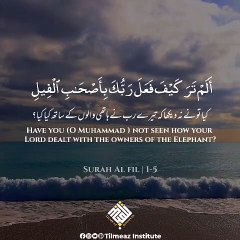 VID-20240703-WA0008