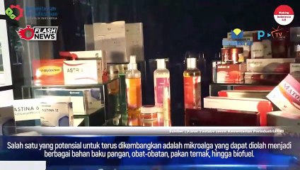 PT Evergen Resources Olah Produk Bioteknologi Berbasis Mikroalga