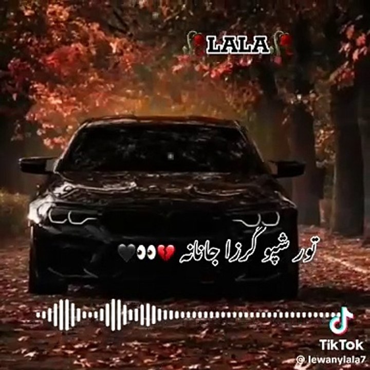 Pashto song 