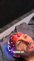 Why Your Brain Is Active After Death