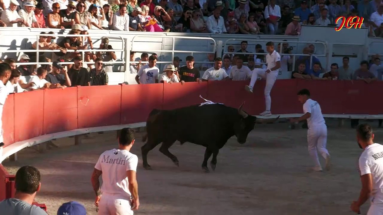 COCARDE D'OR 92 iè la deuxième partie