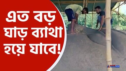 বিশাল দুর্গা প্রতিমা: দেখুন অসাধারণ আকারের প্রতিমার ছবি 🏛️