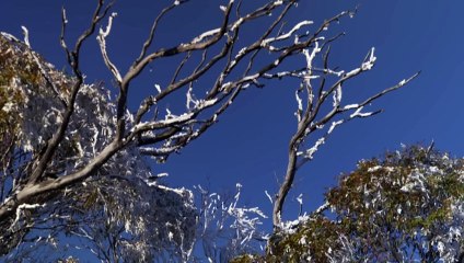 Lakes freeze across Tasmania as temperatures plummet