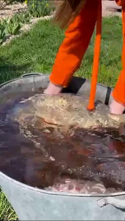 Cooking a Massive fat CARP