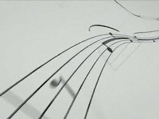 Zurich Chamber Orchestra : Roller Coaster