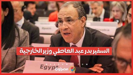 السفير بدر عبد العاطي وزير الخارجية