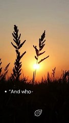 “And whoever puts their trust in Allah, then He will suffice him.” – Quran 65:3
