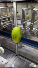 Mango peeling machine 