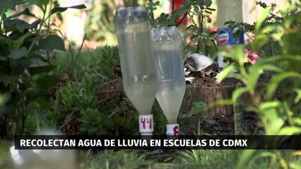 La tormenta ‘Chris’ deja graves afectaciones en México. Paola Barquet, 02 de julio 2024