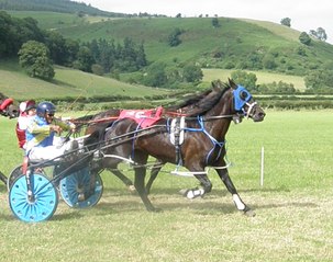 Wales & Border Counties Harness Racing at New Radnor