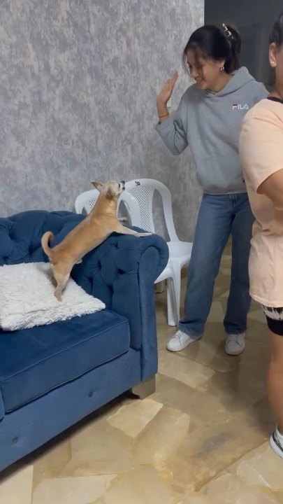 Pichi e Isabella
