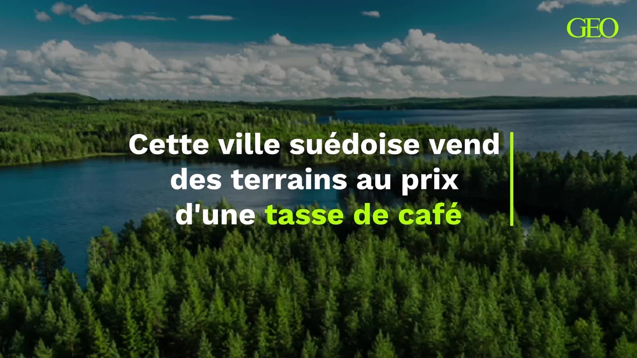 Pour attirer des habitants, cette ville suédoise vend des terrains au prix d'une tasse de café
