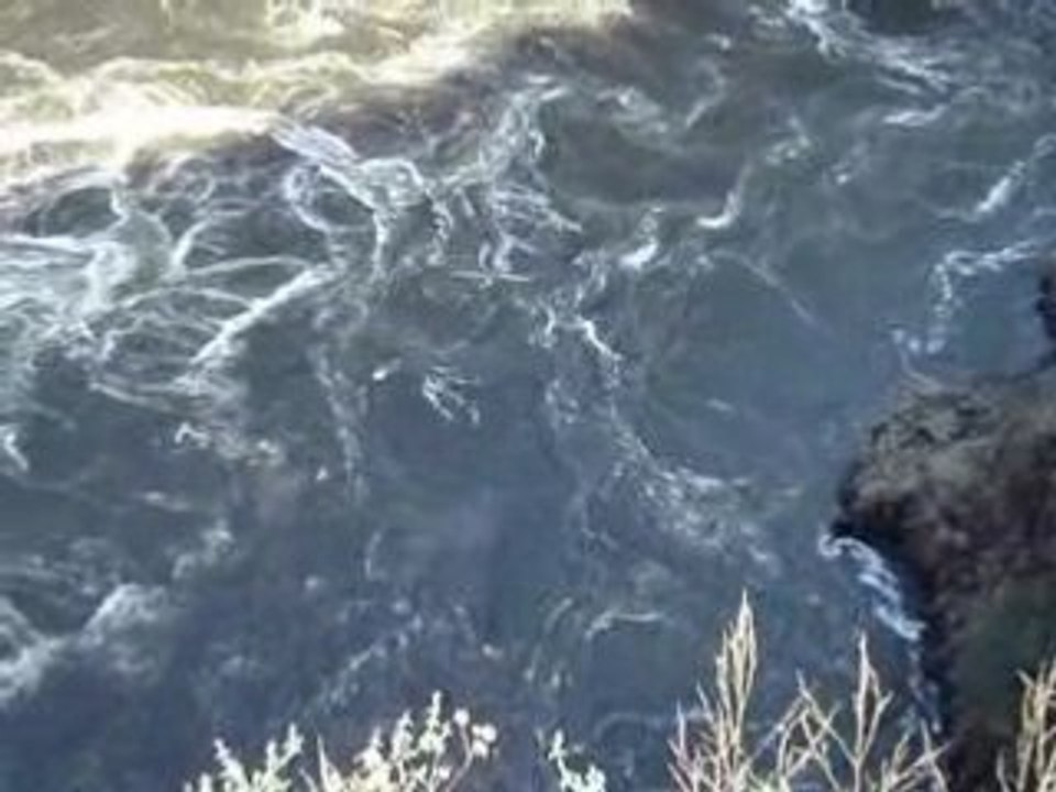 Flo doing the gorge swing at the Victoria Falls