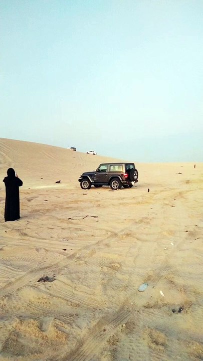Dammam hafmoon