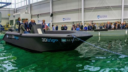 驚異の3次元プリント作品