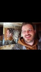 mrbeast viral video #viral #mrbeast #trnding