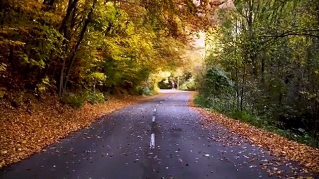 [4K] Amazing Beauty Of Nature ｜ Creative Common ｜ Free stock footage ｜ Free HD Videos - No Copyright