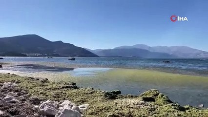 Türkiye'nin cennet gölü kayboluyor: Sular gitti, çamur ve koku geldi