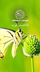 Surah At-Takwire  -0112 |Beautiful Recitation|Quran |quran |Tilawat