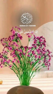 Surah At-Takwire 0033 |Beautiful Recitation|Quran |quran |Tilawat