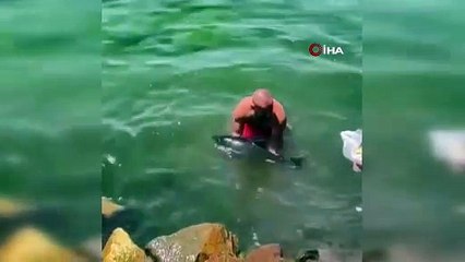 Bursa’da balıkçıların ağına yavru yunus takıldı