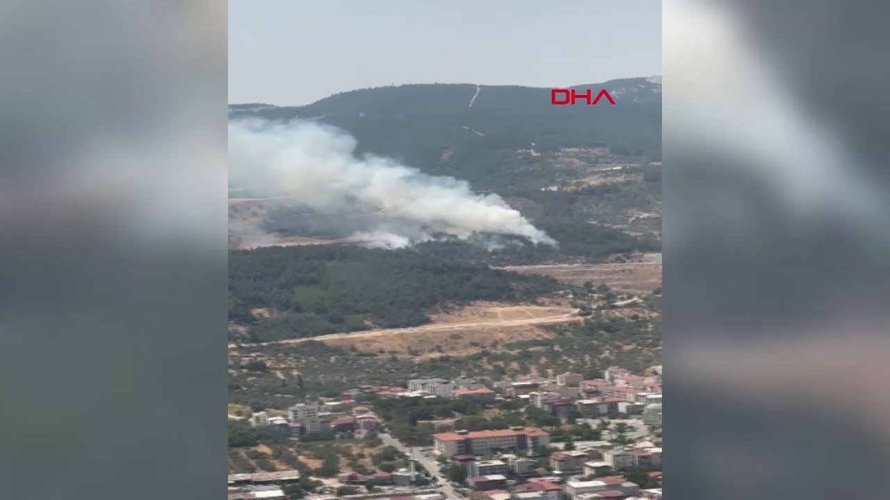 Manisa'da orman yangını