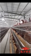 Livi 10000 layers battery cage system in Nigeria