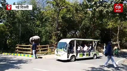 रैपिड ट्रेन के संचालन से क्या तनाव में आ सकते हैं दिल्ली जू के जानवर, वाइल्ड लाइफ इंस्टीट्यूट ऑफ इंडिया कर रही रिसर्च