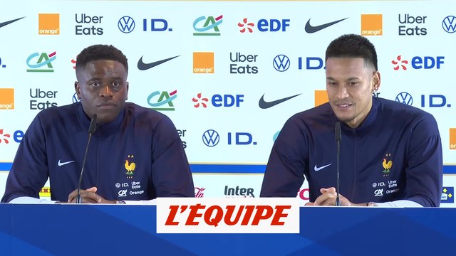 Areola sur l'Euro de Maignan : «Ce n'est pas une surprise» - Foot - Euro 2024 - Bleus