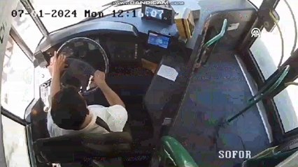 İETT otobüsüne çarparak yaralanan martı, şoför tarafından kurtarıldı