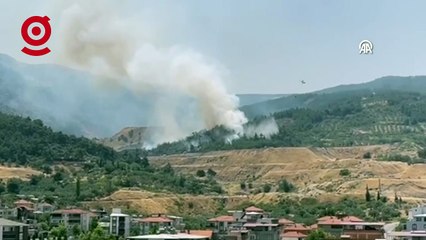 Manisa'da Orman Yangını: Havadan ve Karadan Müdahale Başladı