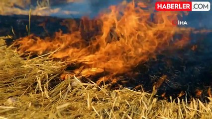 Hububatçılar Derneği Başkanı: Yangınların milli ekonomiye ve soframıza etkisi olmayacak